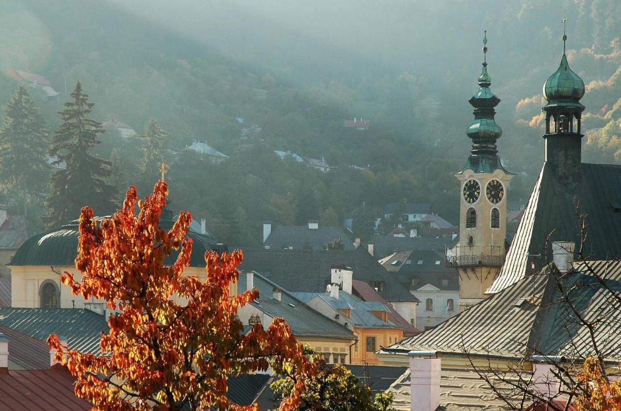 Stiavnica Apartment