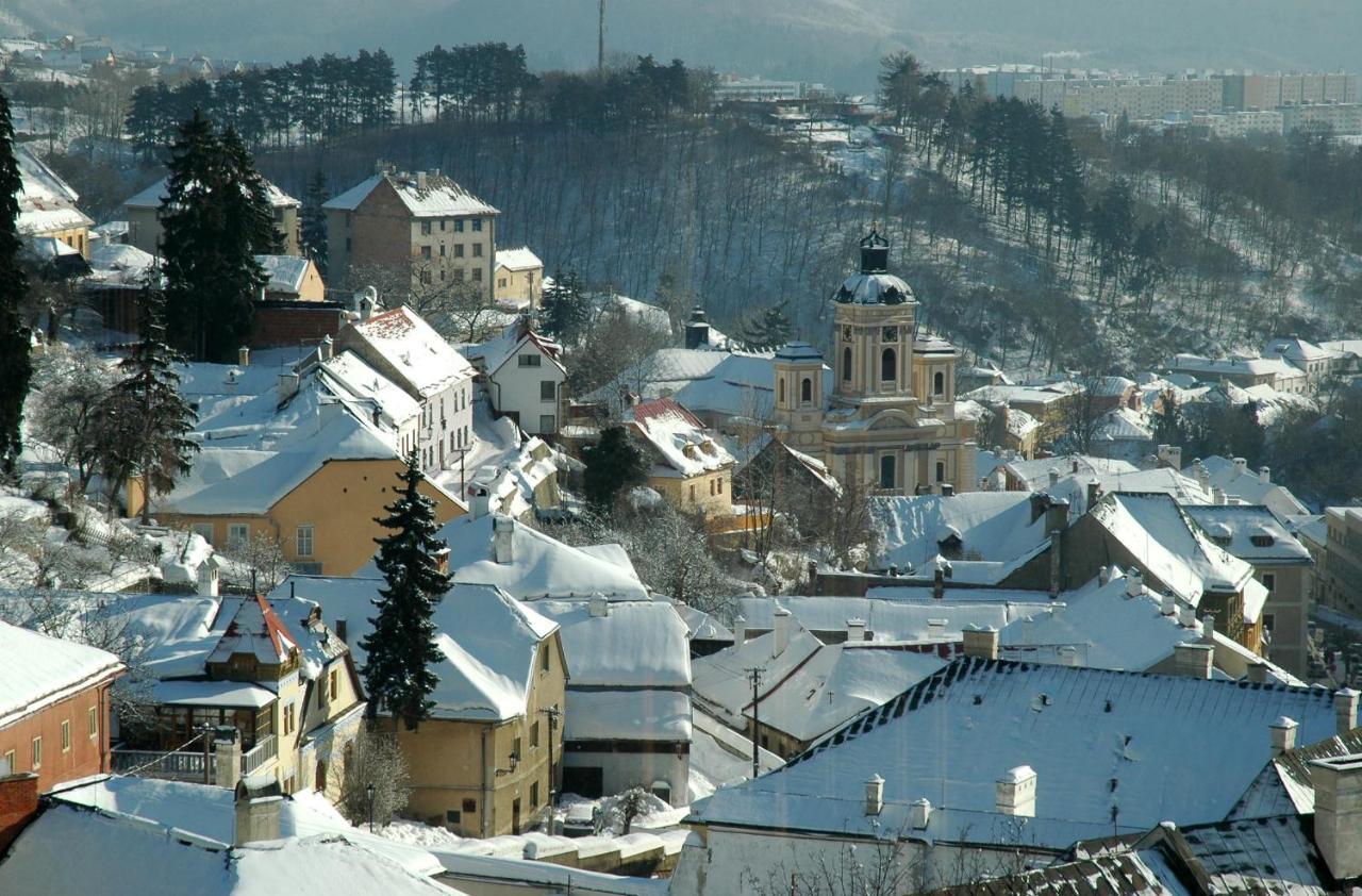 Apartment Stiavnica Banska Stiavnica